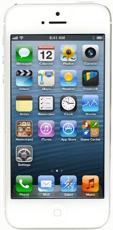 Смартфон Apple iPhone 5 64Gb White & Silver - Гусь-Хрустальный