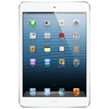 Apple iPad mini 16Gb Wi-Fi + Cellular белый - Гусь-Хрустальный