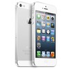 Apple iPhone 5 64Gb white - Гусь-Хрустальный